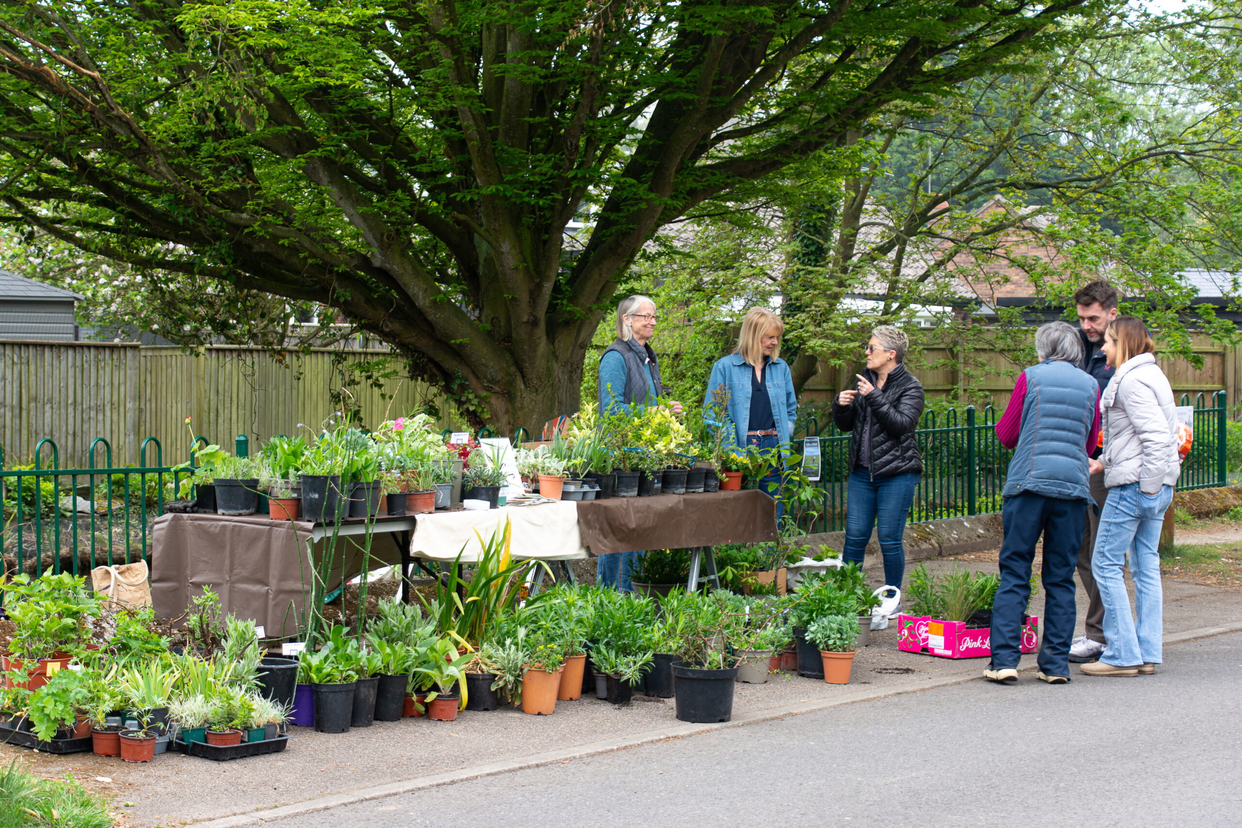 Plant sale raises funds for aquatic plants