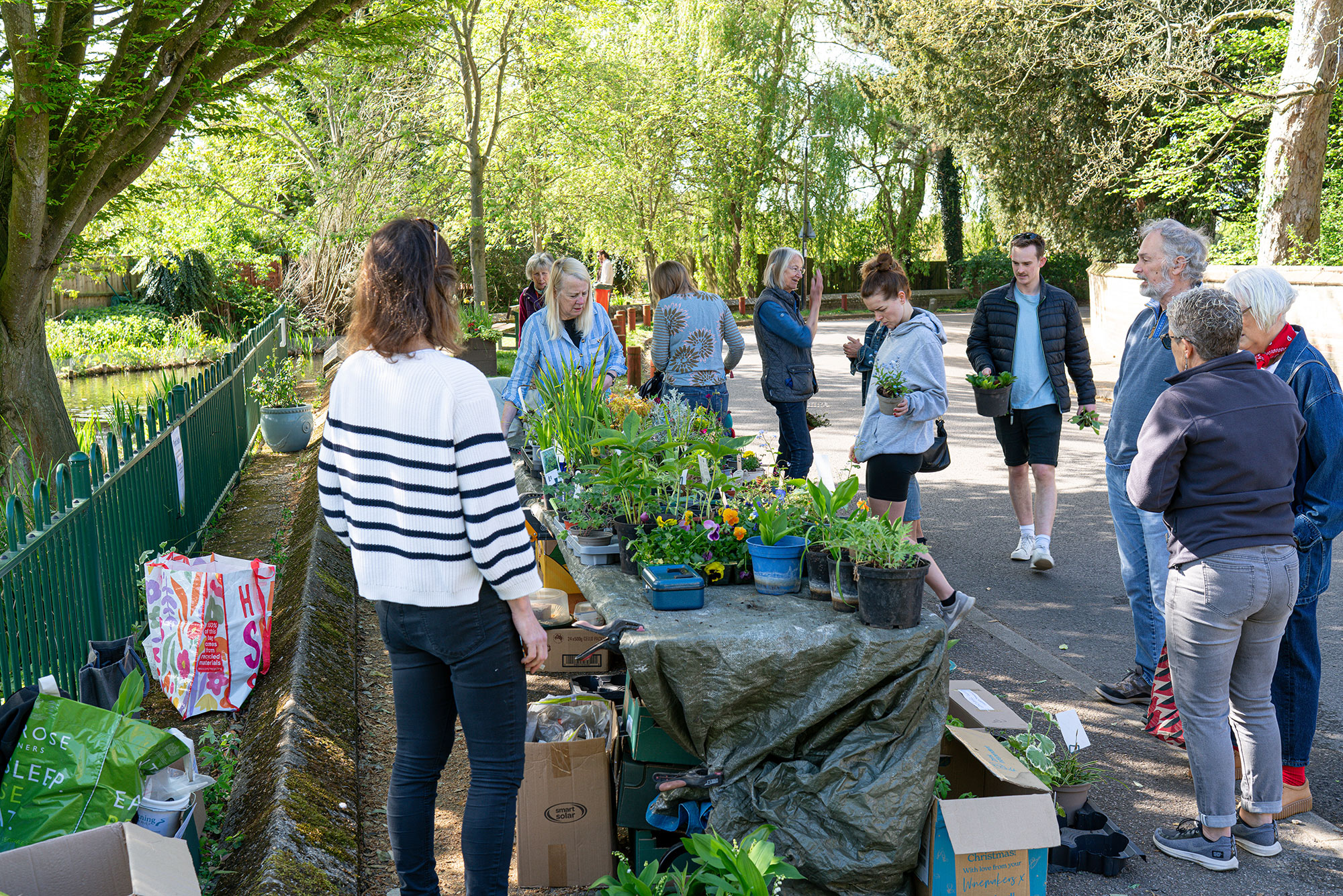 Successful plant sale raises funds for continued river restoration